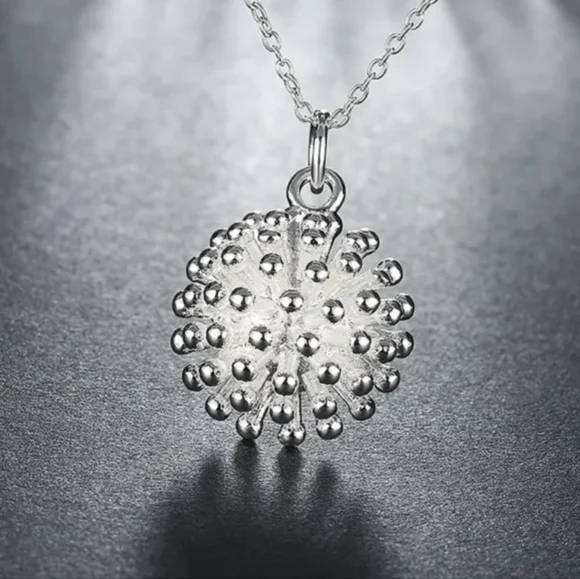 Silver Necklace - Picture 4 of 5